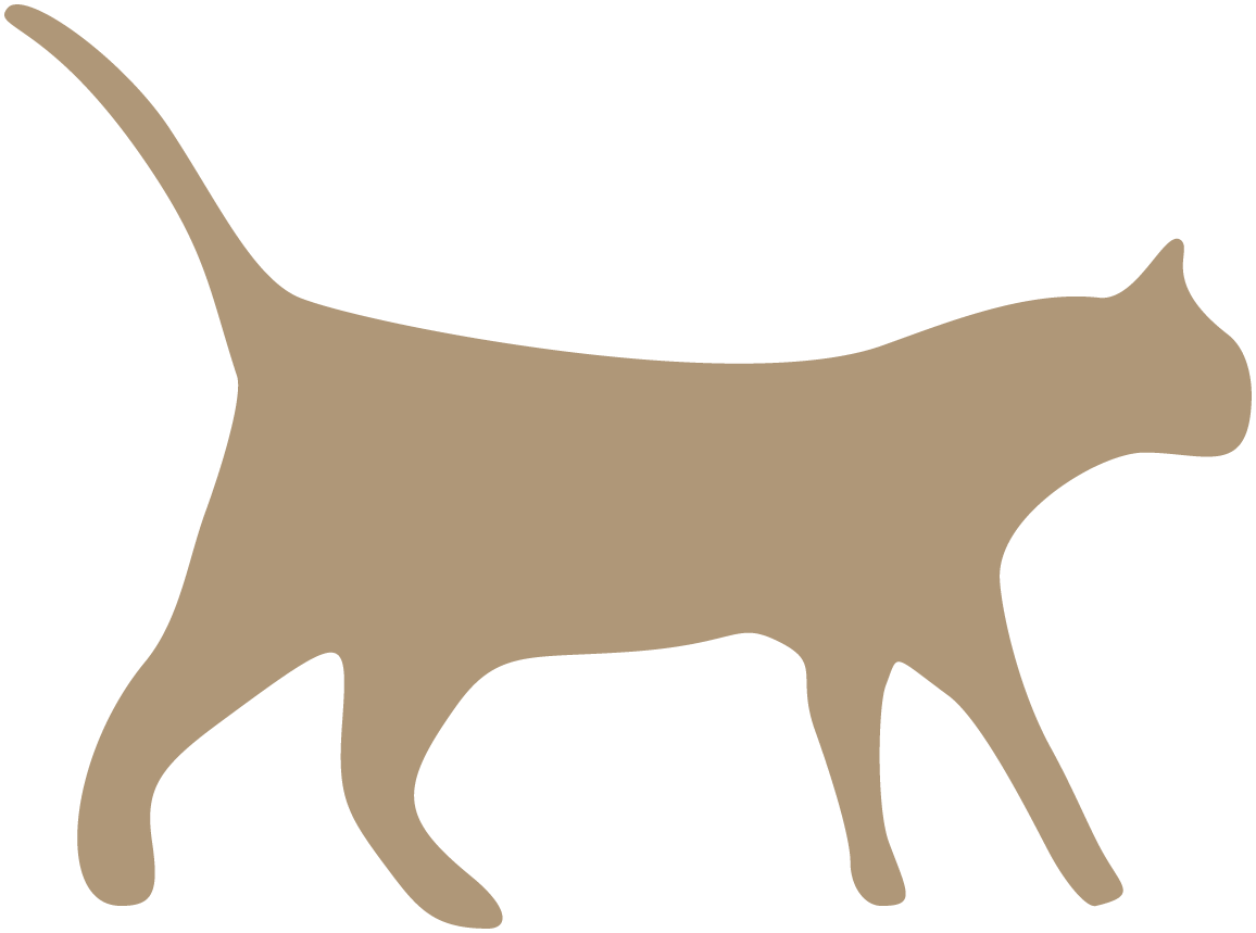 gato-andando-dorado-optxweb icono tac fauna